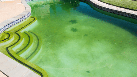 Ways To Find Leaks In Green Pools San Carlos San Diego