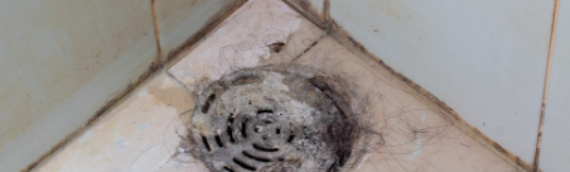 ▷Ways To Unclog Your Shower Drain San Carlos San Diego