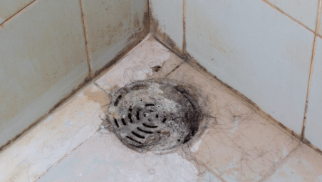 Ways To Unclog Your Shower Drain San Carlos San Diego